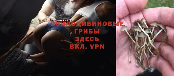 амфетамин Алексеевка