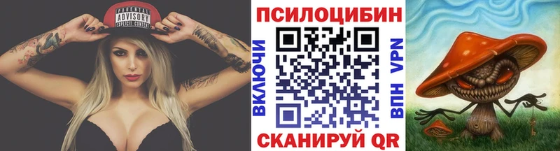 Псилоцибиновые грибы Cubensis магазин Лукоянов